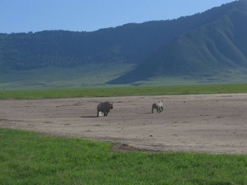 12.26.04_(60)_ngorongoro