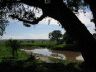 12.24.04_(13)_tarangire