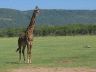 12.25.04_(07)_lakemanyara