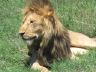 12.26.04_(25)_ngorongoro