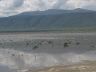 12.26.04_(30)_ngorngoro