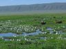 12.26.04_(37)_ngorongoro