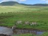 12.26.04_(52)_ngorongoro