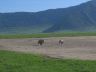 12.26.04_(60)_ngorongoro