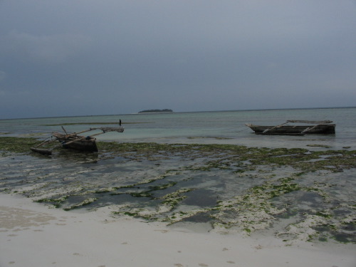12.30.04_(05)_matemwe