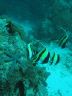 12.29.04_(13)_mnembadive