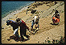 lago_titicaca_(2)